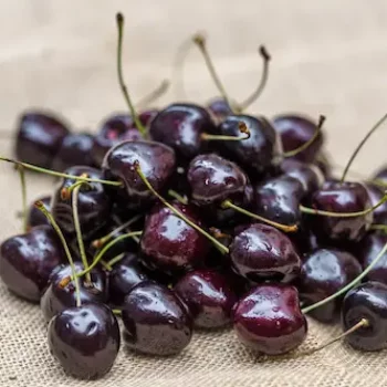 AdobeStock_517523724